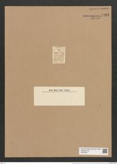 Cystopleura lindigii (Rabh.) Kunze (de-Toni-Nr.: Genus 103, Species 3123) Zeichnungen Sammlung Grunow Nr. 6383 (NHMW-BOT-W0375047)